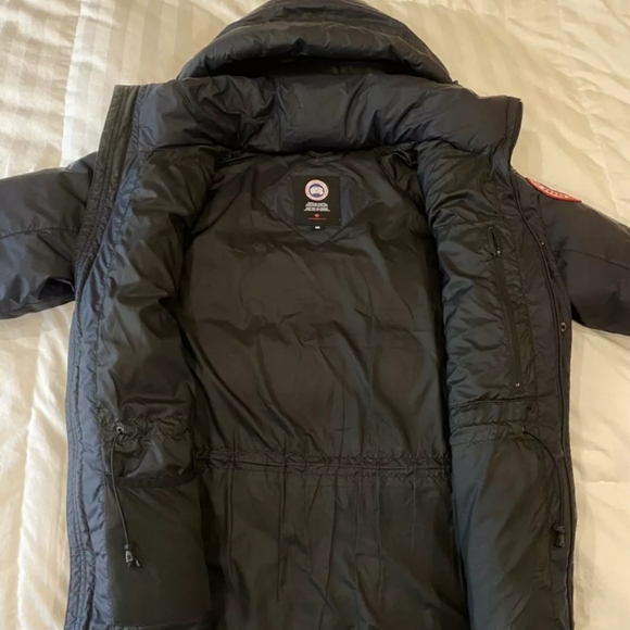 Canada goose - Picture 3 of 8